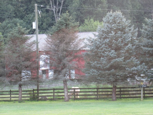 Beautiful barn with horses behind the Church. 08/2017