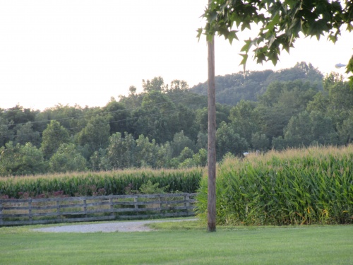 Rural Church property Northeast of the Church. 08/2017