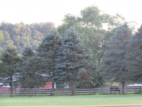 North West grounds. 08/2017