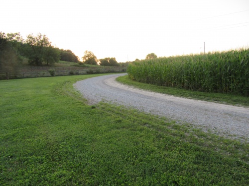 Gravel path next to our corn fields. 08/2017