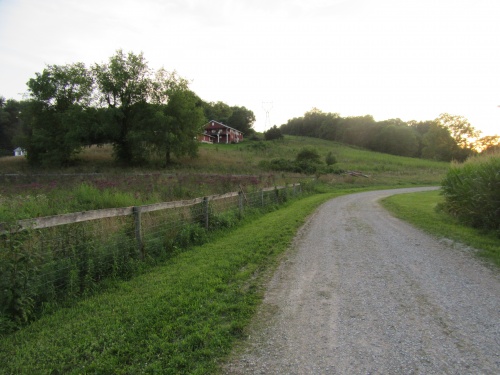 Gravel path. 08/2017
