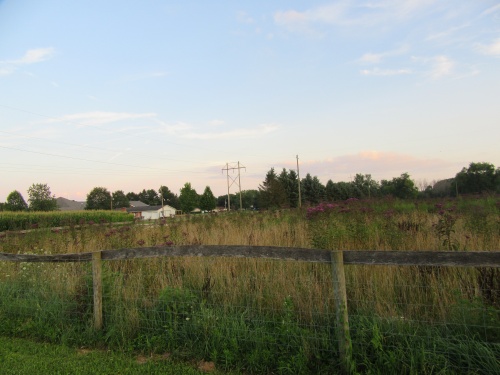 North east Church grounds. 08/2017