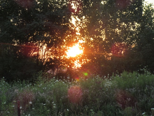 Breathtaking nature during sunset. 08/2017