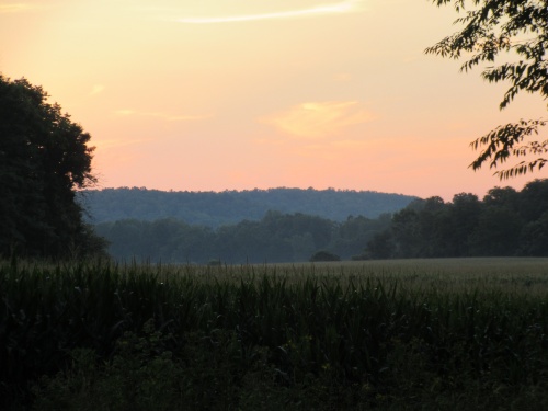 Beautiful sunset. 08/2017